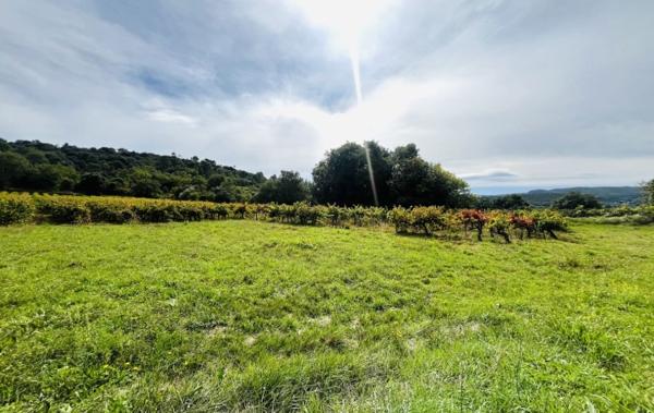 Vente Terrain DEUX LOTS Goudargues