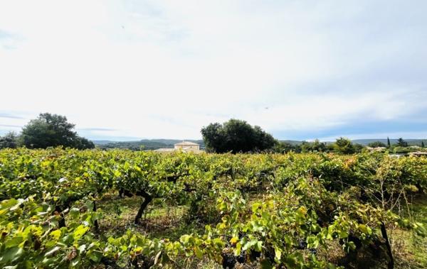 Vente Terrain DEUX LOTS Goudargues