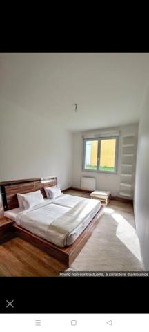 Location appartement Blain : 446 € - AJP Immobilier Blain