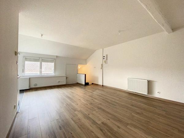 Appartement à louer    3 pièces •  Nancy