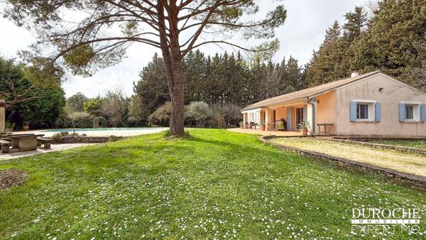 Maison de plain-pied à vendre à Monteux – 120 m², terrain de 3 620 m², piscine