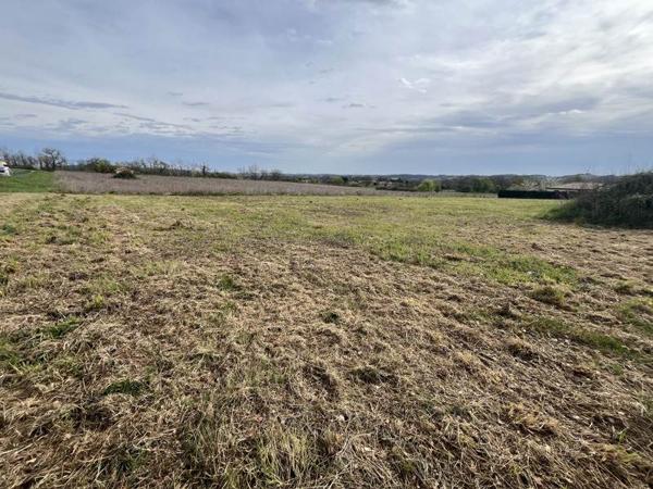 Terrain à vendre |  Mirande |  1470 m²