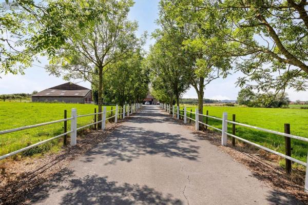 Maison à vendre à Steenvoorde dans le Nord (59114), ref : 12983-79