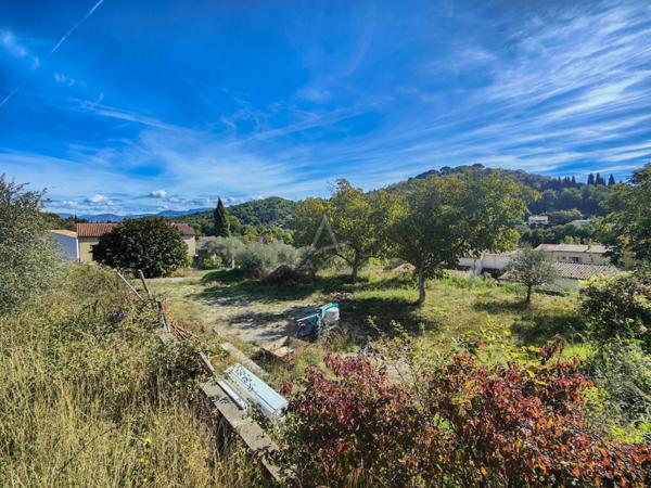 Achat vente Terrain Riez