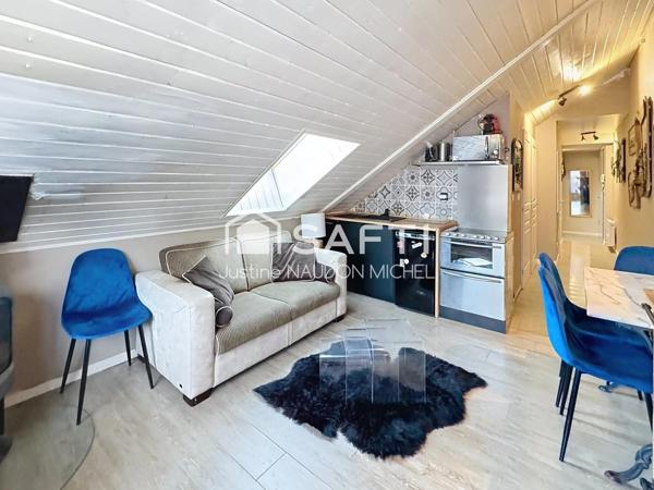 Joli appartement Joue du Loup