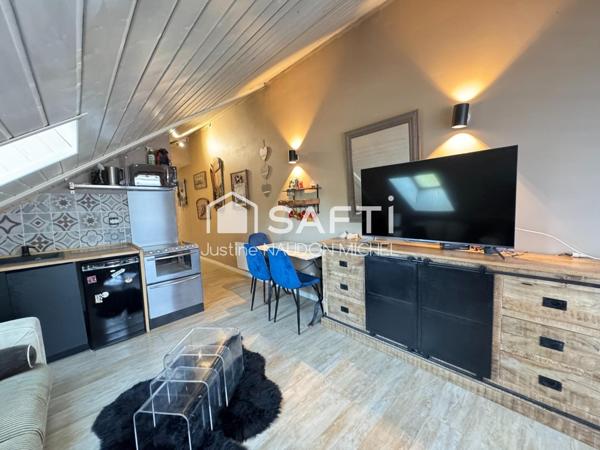 Joli appartement Joue du Loup