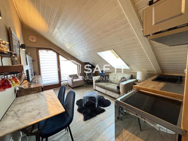 Joli appartement Joue du Loup