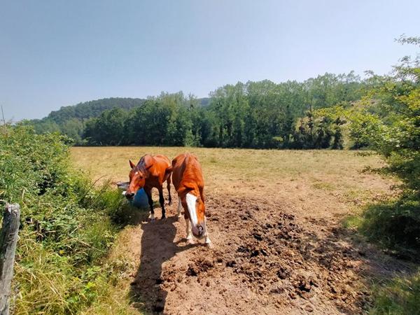 Corps de ferme Bongheat 5 pièces +/-95 m2 + 6 ha de terrain environs