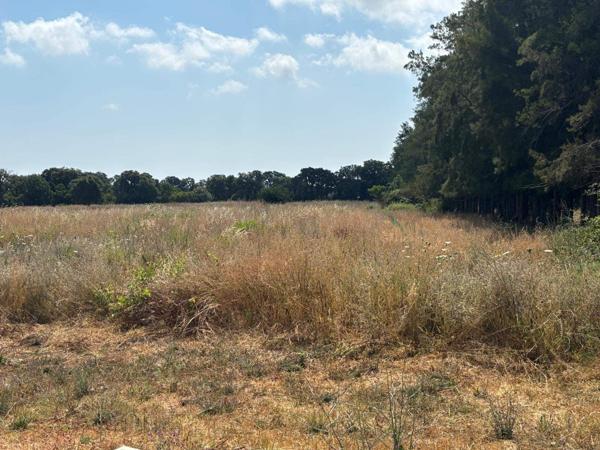 Villa individuelle secteur Prunelli Di Fiumorbo