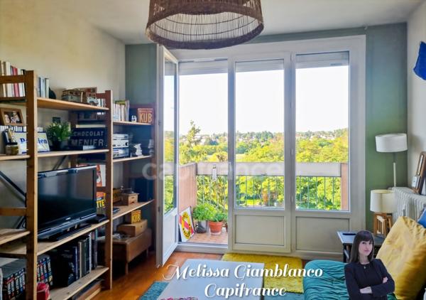 Appartement à vendre 2 pièces CHALON SUR SAONE (71)