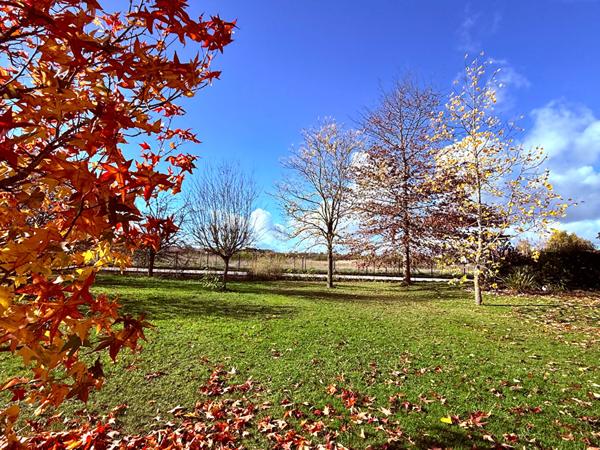 Superbe Terrain à bâtir à Saint Denis En Val !!!