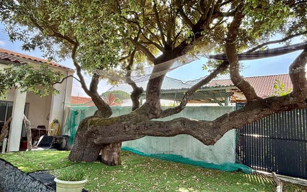 Maison à vendre    5 pièces •  Saint-Pierre-d'Oléron