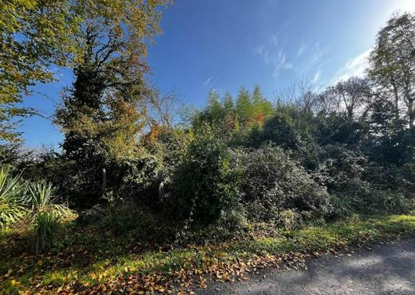 Terrain à vendre 15 000 € Saint-Aigulin 750 m² DPE