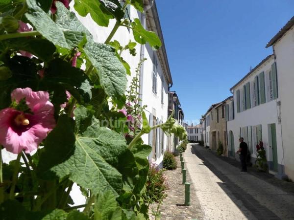 Ensemble immobilier  PRESTATIONS HAUT DE GAMME 12 pièces LA FLOTTE