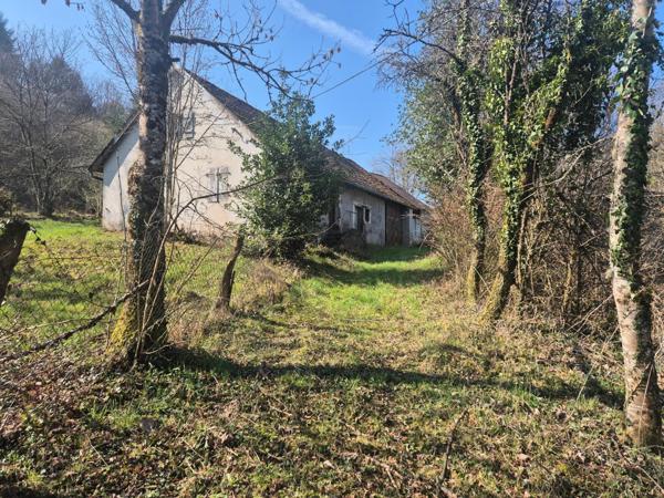 En exclusivité, Ferme à rénover avec 2 hectars de prairies et forêts !