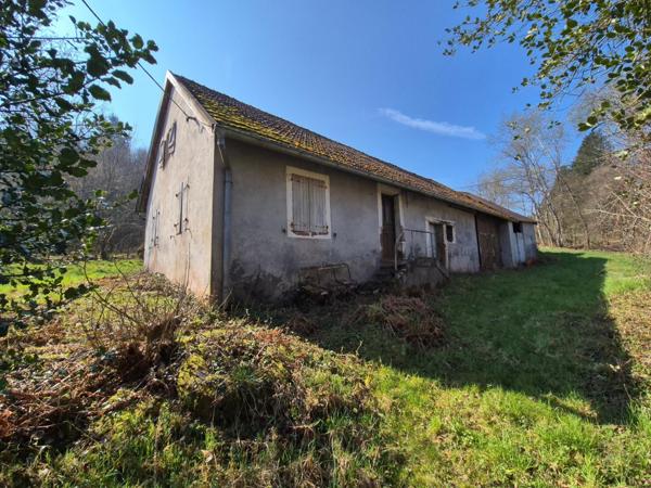 En exclusivité, Ferme à rénover avec 2 hectars de prairies et forêts !