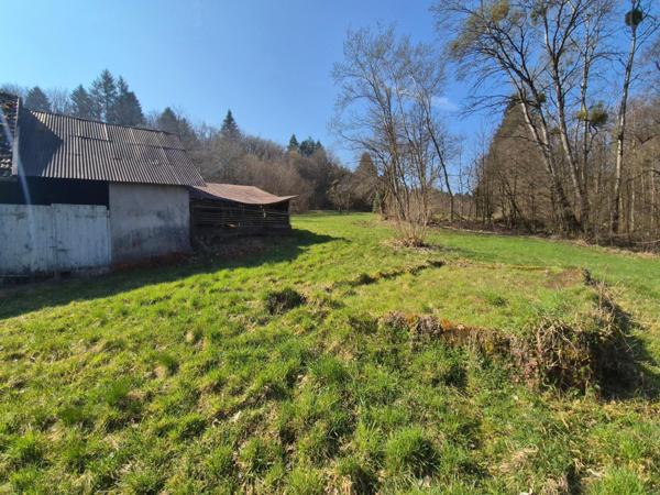 En exclusivité, Ferme à rénover avec 2 hectars de prairies et forêts !