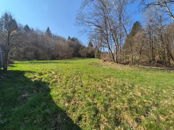 En exclusivité, Ferme à rénover avec 2 hectars de prairies et forêts !