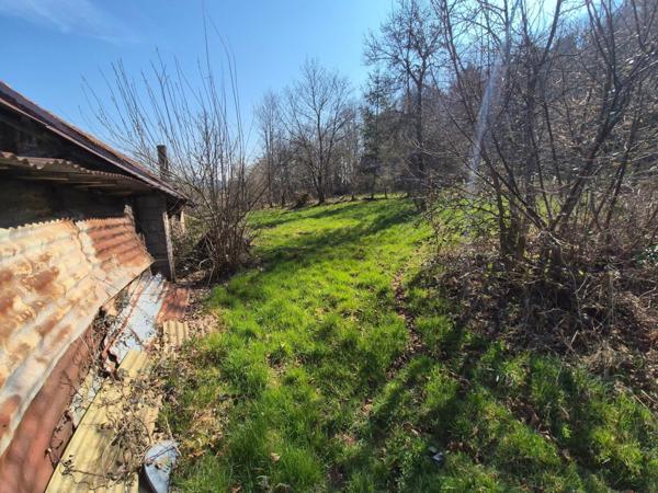 En exclusivité, Ferme à rénover avec 2 hectars de prairies et forêts !