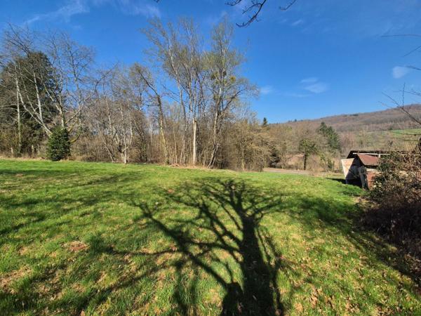En exclusivité, Ferme à rénover avec 2 hectars de prairies et forêts !