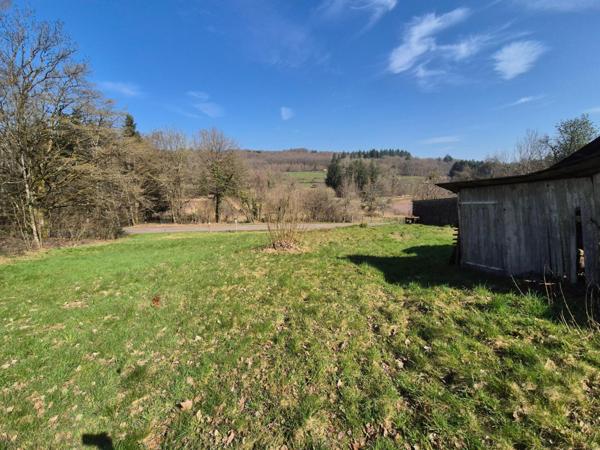 En exclusivité, Ferme à rénover avec 2 hectars de prairies et forêts !