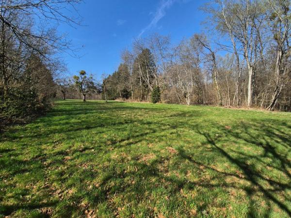 En exclusivité, Ferme à rénover avec 2 hectars de prairies et forêts !