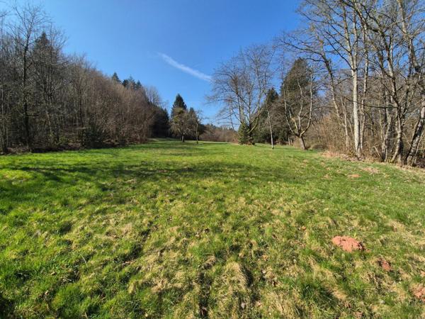 En exclusivité, Ferme à rénover avec 2 hectars de prairies et forêts !