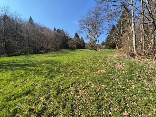 En exclusivité, Ferme à rénover avec 2 hectars de prairies et forêts !