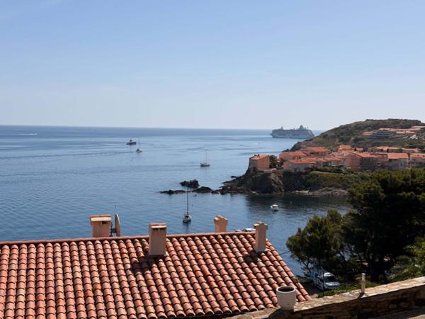 Vivez la magie de Collioure face à la Méditerranée