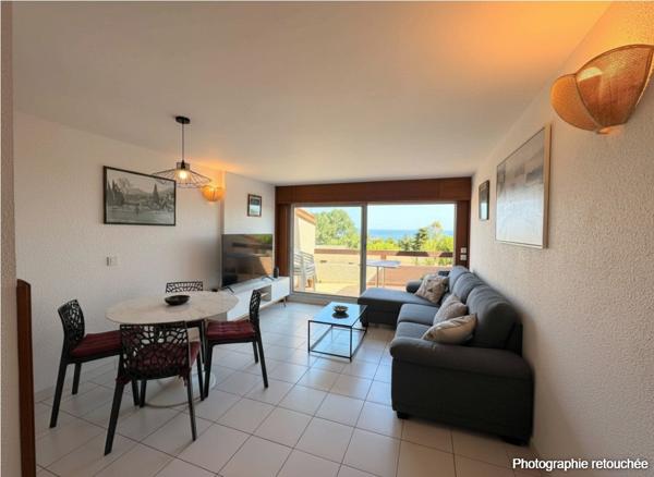 Vivez la magie de Collioure face à la Méditerranée