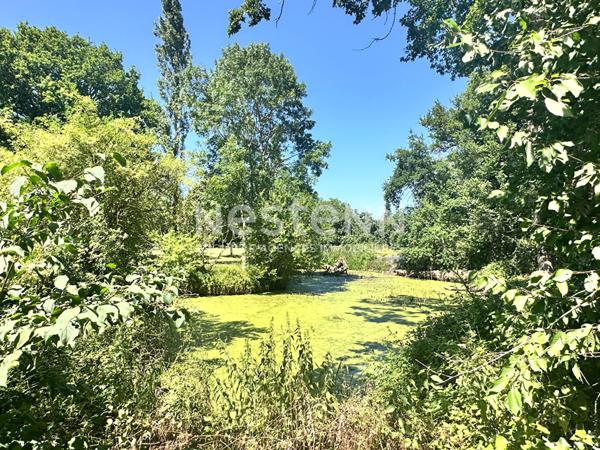 Vente jolie maison de campagne 123.68 m² comprenant 4 chambres à La Chartre-sur-Le-Loir (72340)