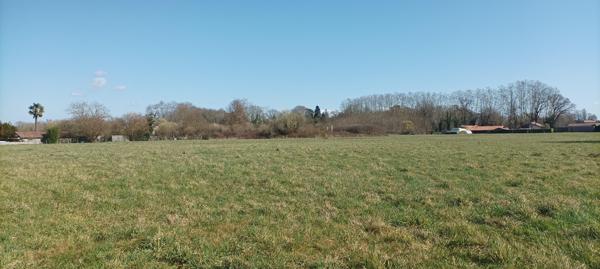 Vente / Terrain