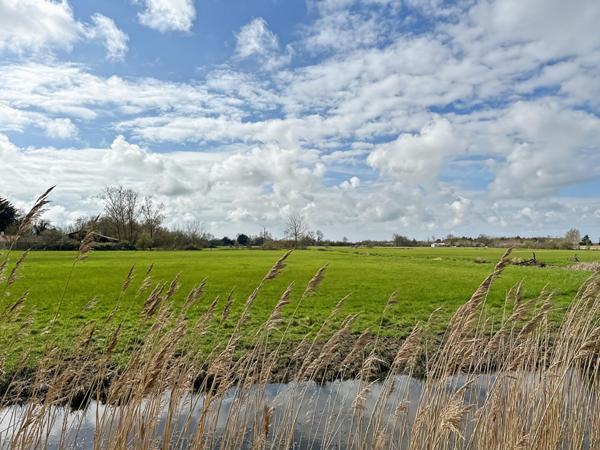 A vendre dans le bourg - Maison de plain-pied