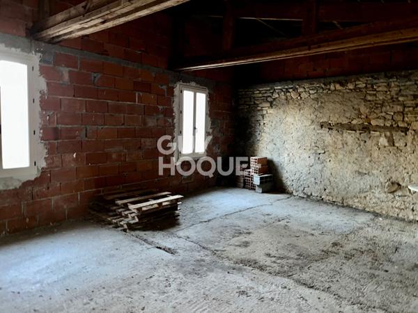 Grande maison familiale avec annexe et terrain à Espère