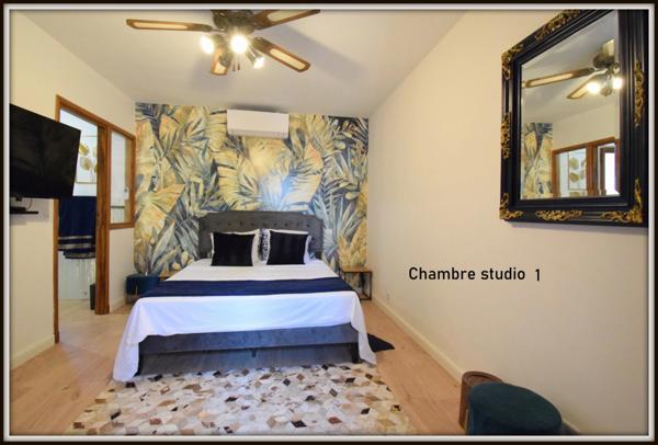 Villa quatre pièces, un deux pièces et un studio indépendant. Belle rentabilité. Centre ville. Vidéo disponible.