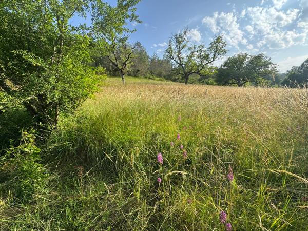 Parmain (95620) PARMAIN 95270 TERRAIN CONSTRUCTIBLE