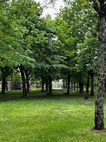 Maison 6 pièces à vendre Ingrandes - 86220 / Réf: 11645