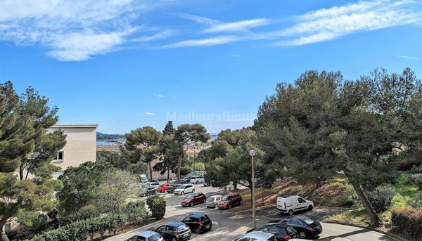 FF4 sete CHATEAU VERT