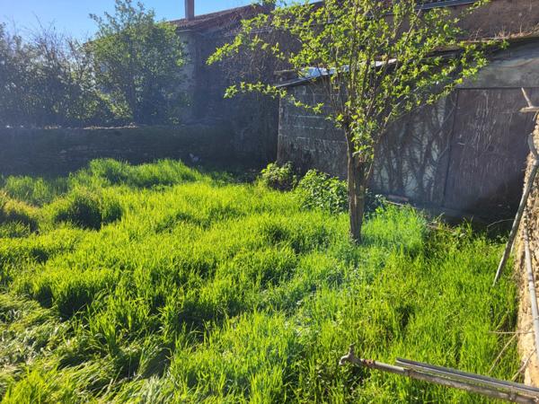 Maison à vendre 4 pièces SAINT JOUIN DE MARNES (79) Terrain 318 m²