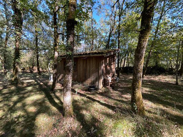 Maison Cajarc 4 pièce(s) 100 m2 + dépendances - 1,4ha Cajarc