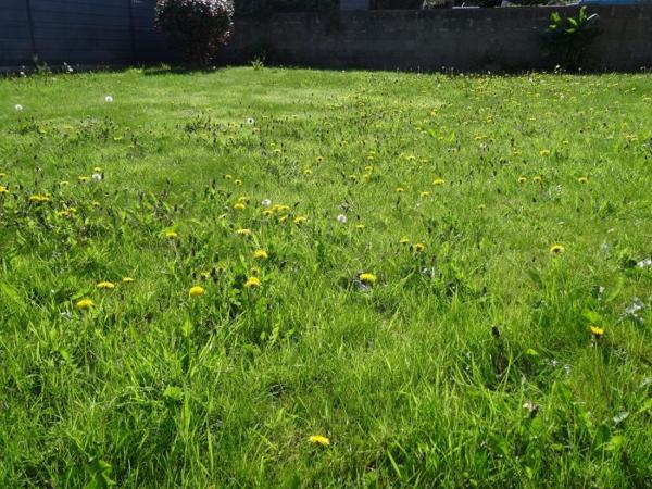 Maison individuelle Ploubezre 85 m²