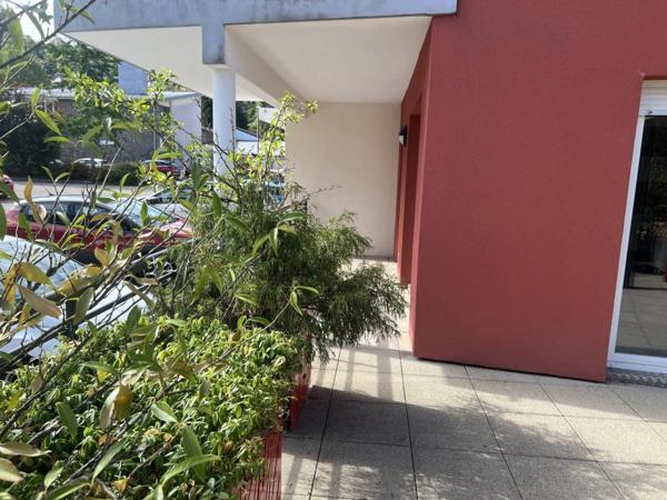 Location Appartement 3 pièces 71 m² - Gérardmer 88400