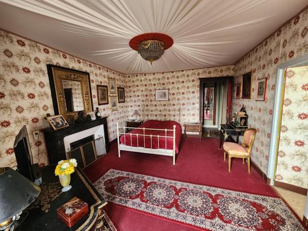 Couhe - Maison de caractère de neuf chambres, granges, piscine, jacuzzi, jardin privé avec opportunité commerciale Valence en poitou