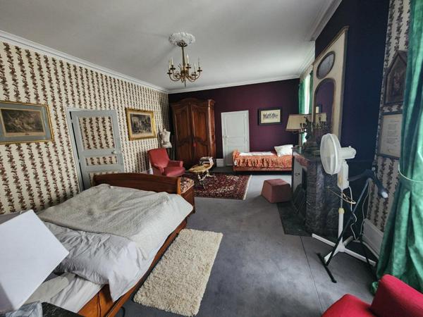 Couhe - Maison de caractère de neuf chambres, granges, piscine, jacuzzi, jardin privé avec opportunité commerciale Valence en poitou