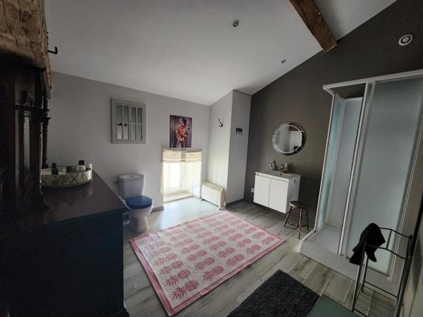 Couhe - Maison de caractère de neuf chambres, granges, piscine, jacuzzi, jardin privé avec opportunité commerciale Valence en poitou