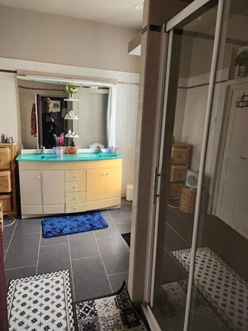 Couhe - Maison de caractère de neuf chambres, granges, piscine, jacuzzi, jardin privé avec opportunité commerciale Valence en poitou