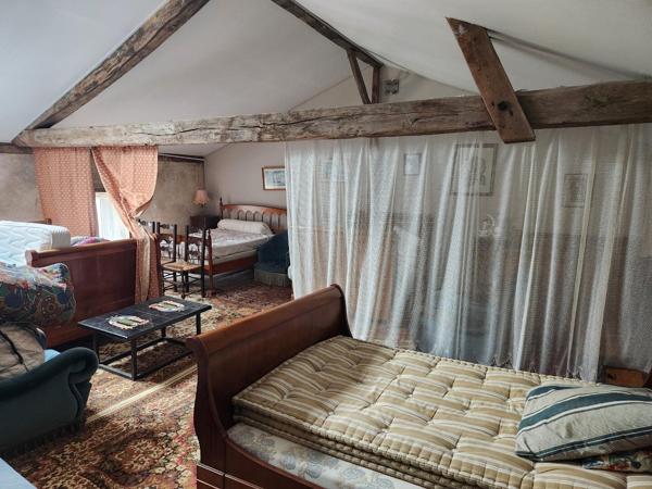 Couhe - Maison de caractère de neuf chambres, granges, piscine, jacuzzi, jardin privé avec opportunité commerciale Valence en poitou