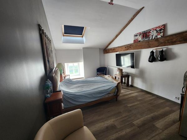Couhe - Maison de caractère de neuf chambres, granges, piscine, jacuzzi, jardin privé avec opportunité commerciale Valence en poitou
