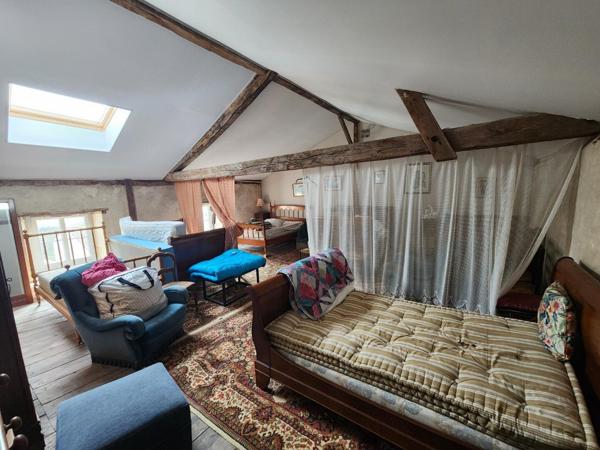 Couhe - Maison de caractère de neuf chambres, granges, piscine, jacuzzi, jardin privé avec opportunité commerciale Valence en poitou