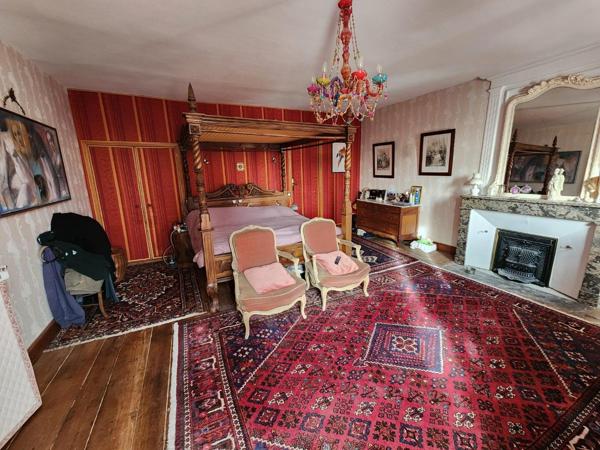 Couhe - Maison de caractère de neuf chambres, granges, piscine, jacuzzi, jardin privé avec opportunité commerciale Valence en poitou